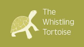 Whistling Tortoise
